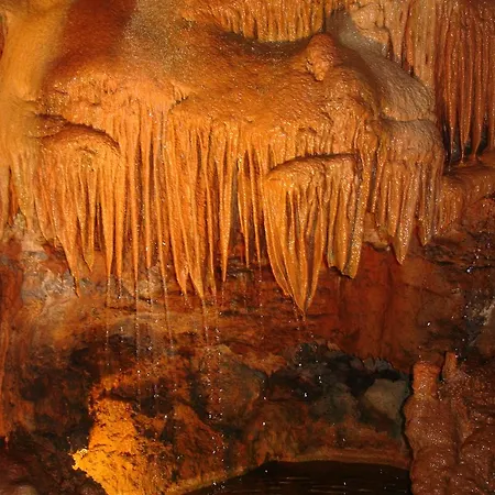 Apartman Quinta Do Valao Marinha Grande